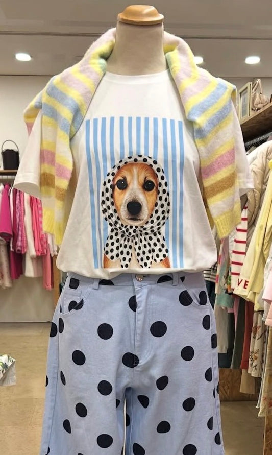 Tshirt dog